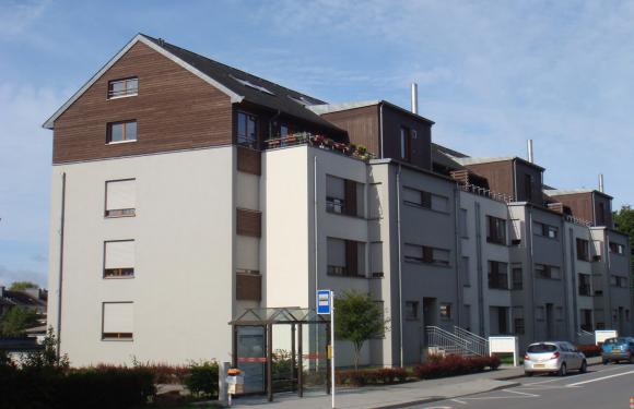 Image - Image #1