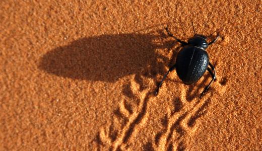 Image - Quand  Sto s'inspire de la nature pour créer des peintures innovantes